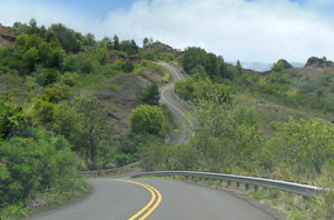 Waimea Canyon Drive